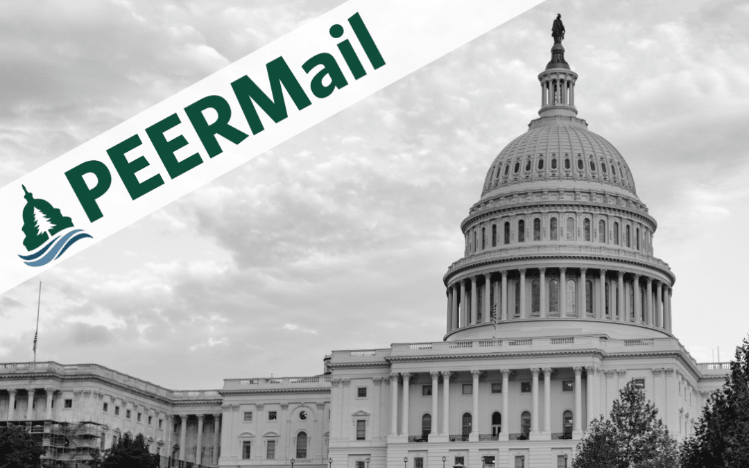 PEERMail | Unprecedented Shutdown and More News