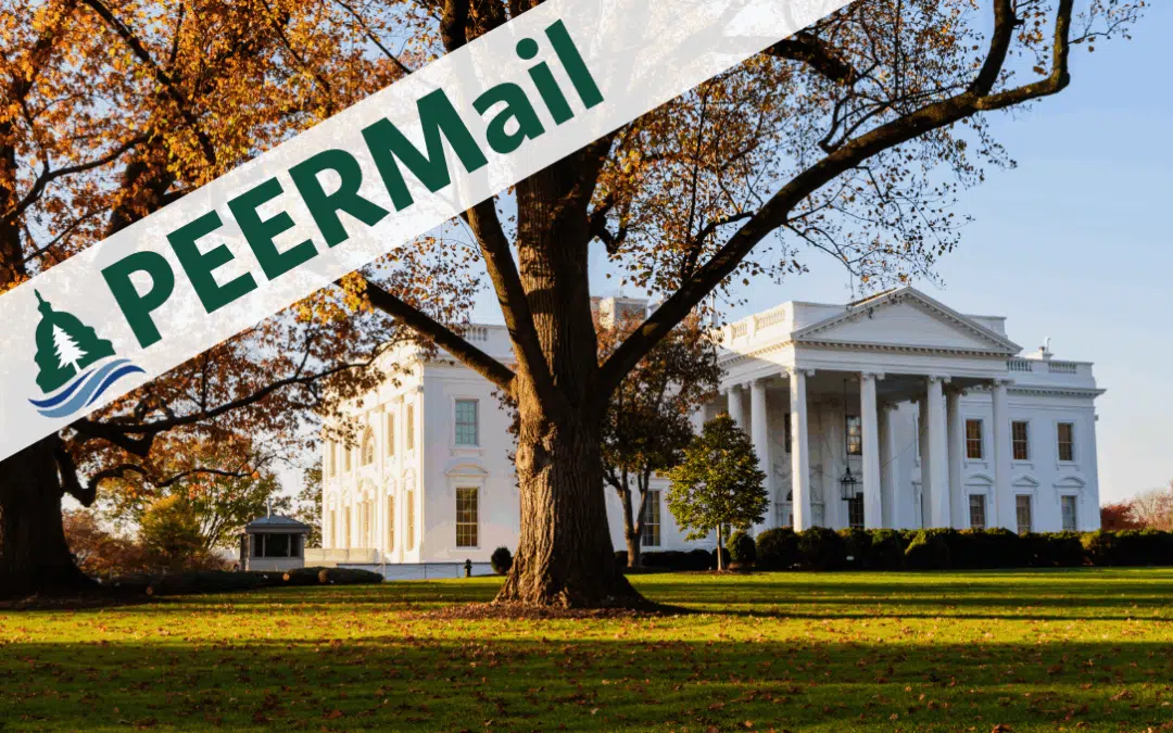 PEERMail | What the Shutdown Was Really About