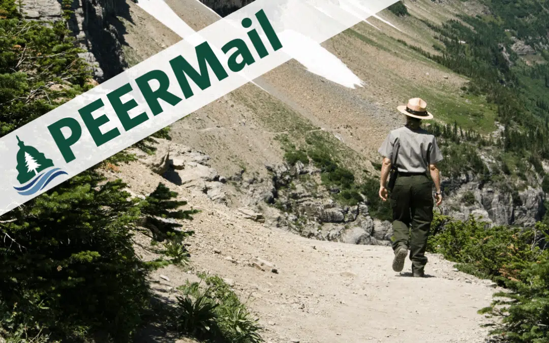 PEERMail | Onward with Deep Appreciation
