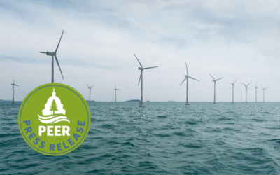 PEER Opens Investigation Seeking Records Behind Interior Department’s Offshore Wind Halt