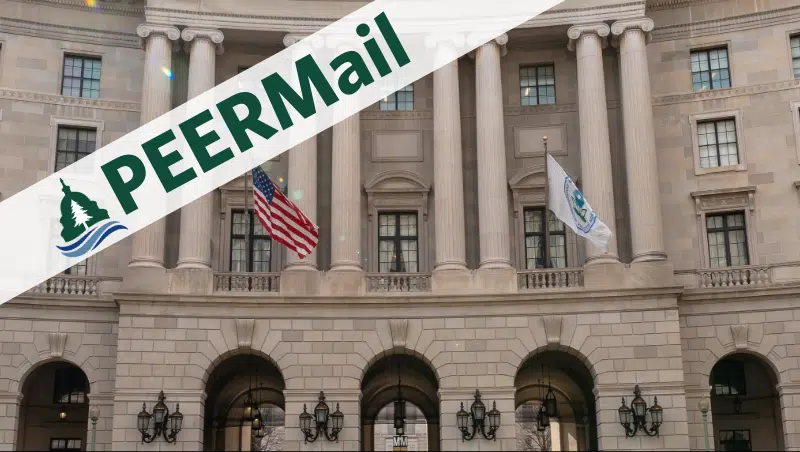 PEERMail | Taking Action to Protect Federal Employees