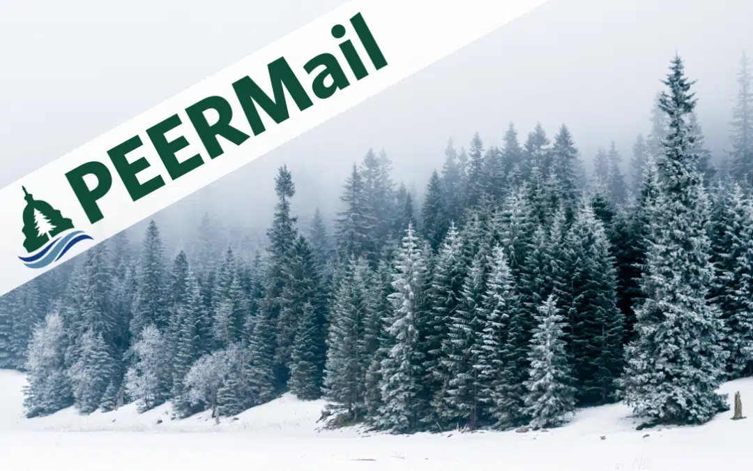 PEERMail | We’re Suing to Protect Independent Watchdogs