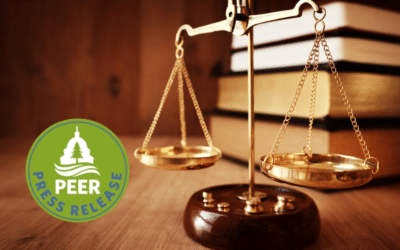 Government Lawyer and Investigator Aaron Lloyd Joins PEER as Senior Counsel