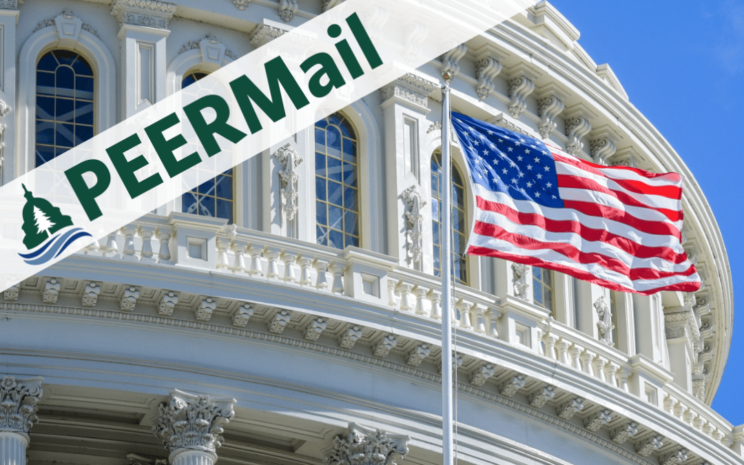 PEERMail | New Strategy, Offshore Wind, and More