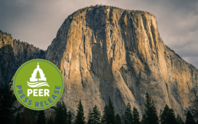 Park Ranger Fired for Hanging Trans Pride Flag Sues Interior Department