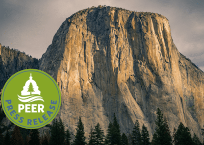 Park Ranger Fired for Hanging Trans Pride Flag Sues Interior Department