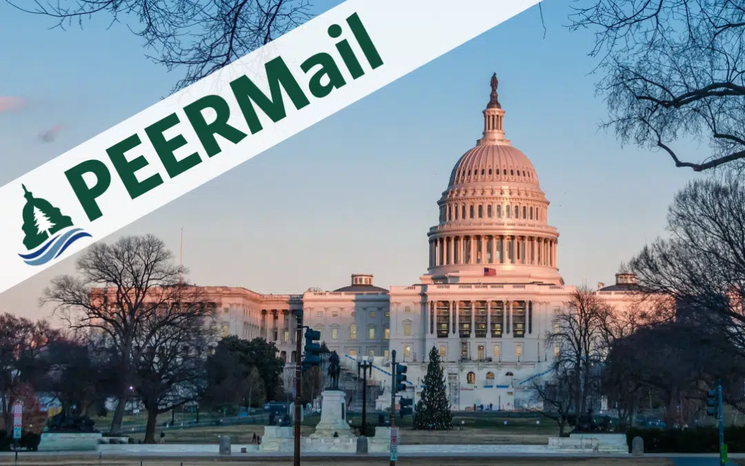 PEERMail | Hijacking America’s Anniversary
