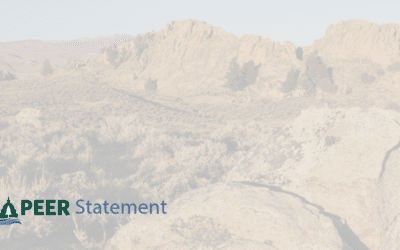 STATEMENT | Senate Should Reject Pearce’s Nomination to Lead Bureau of Land Management