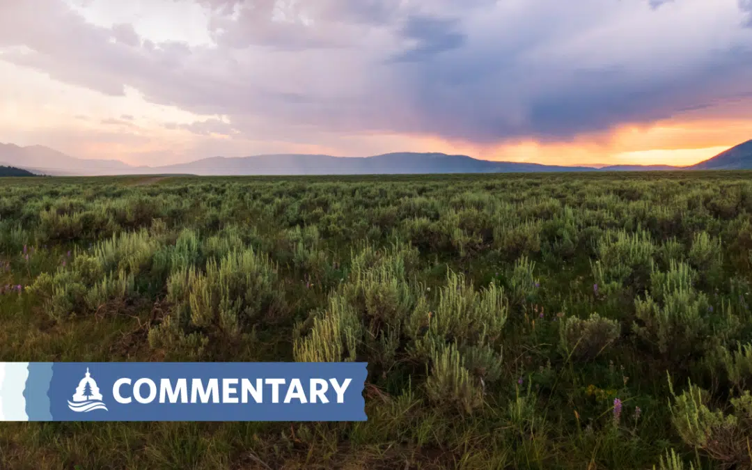 Public lands need public voices; comment now on new BLM rules