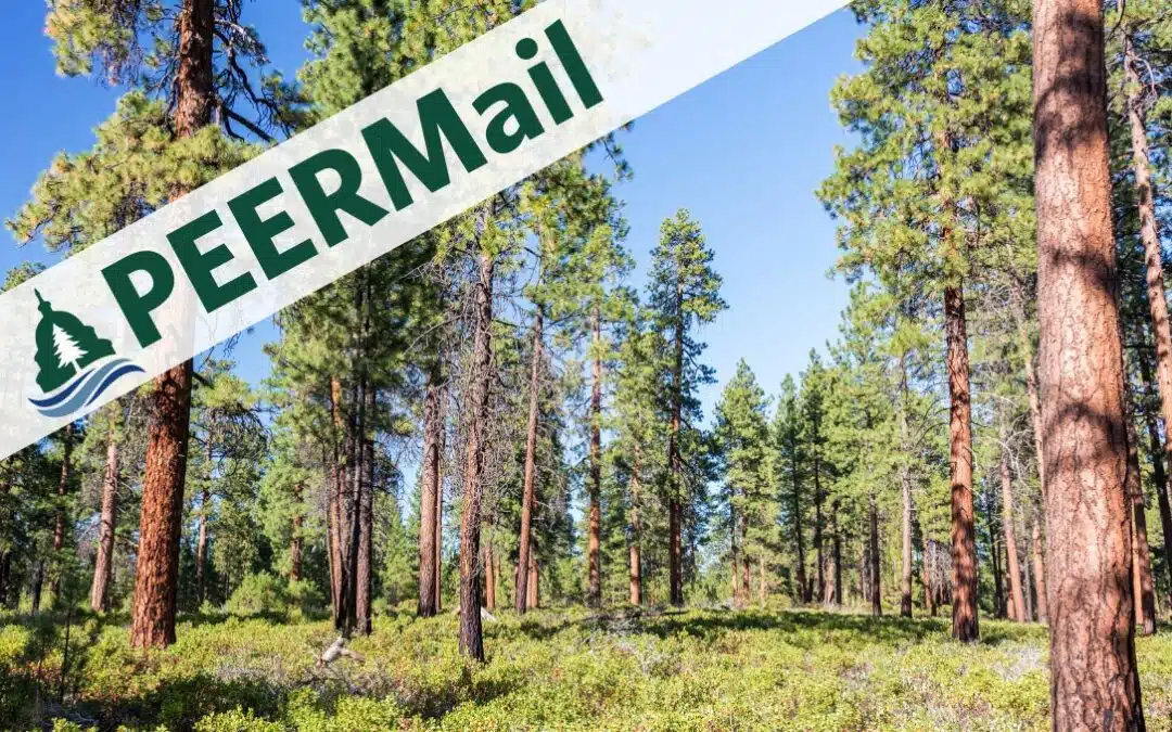 We just sued the Forest Service. Here’s Why.
