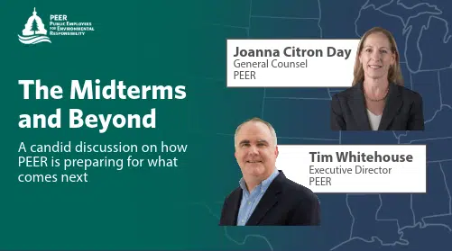 The Midterms and Beyond: How PEER Is Preparing for What Comes Next